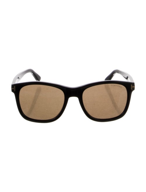 Tom Ford Wayfarer Tinted Sunglasses