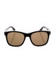 Tom Ford Wayfarer Tinted Sunglasses