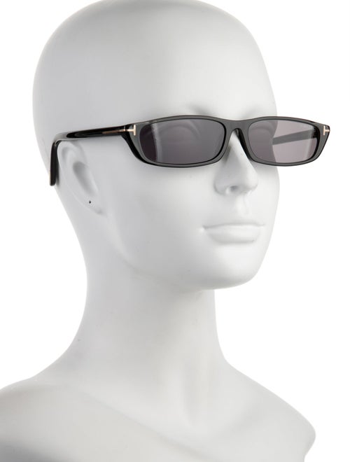 Tom Ford Wayfarer Tinted Sunglasses