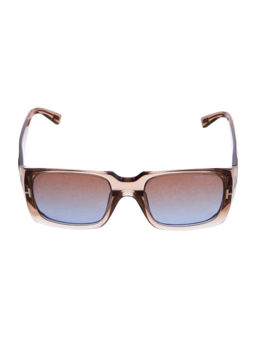 Tom Ford Wayfarer Tinted Sunglasses