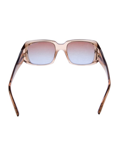 Tom Ford Wayfarer Tinted Sunglasses