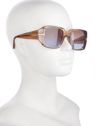 Tom Ford Wayfarer Tinted Sunglasses