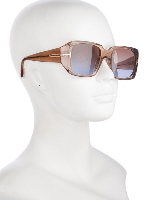 Tom Ford Wayfarer Tinted Sunglasses