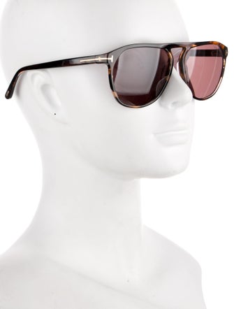 Tom Ford Wayfarer Tinted Sunglasses