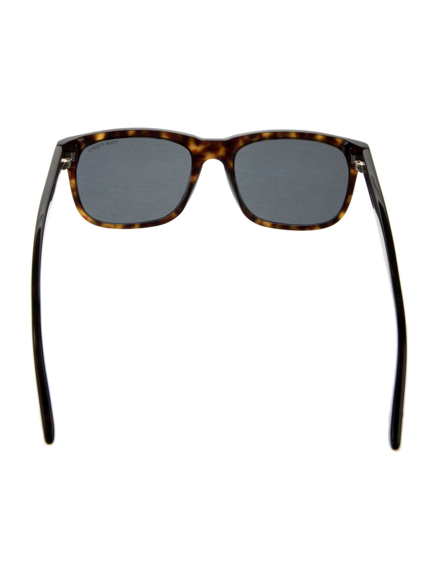 Tom Ford Stephenson Wayfarer Sunglasses
