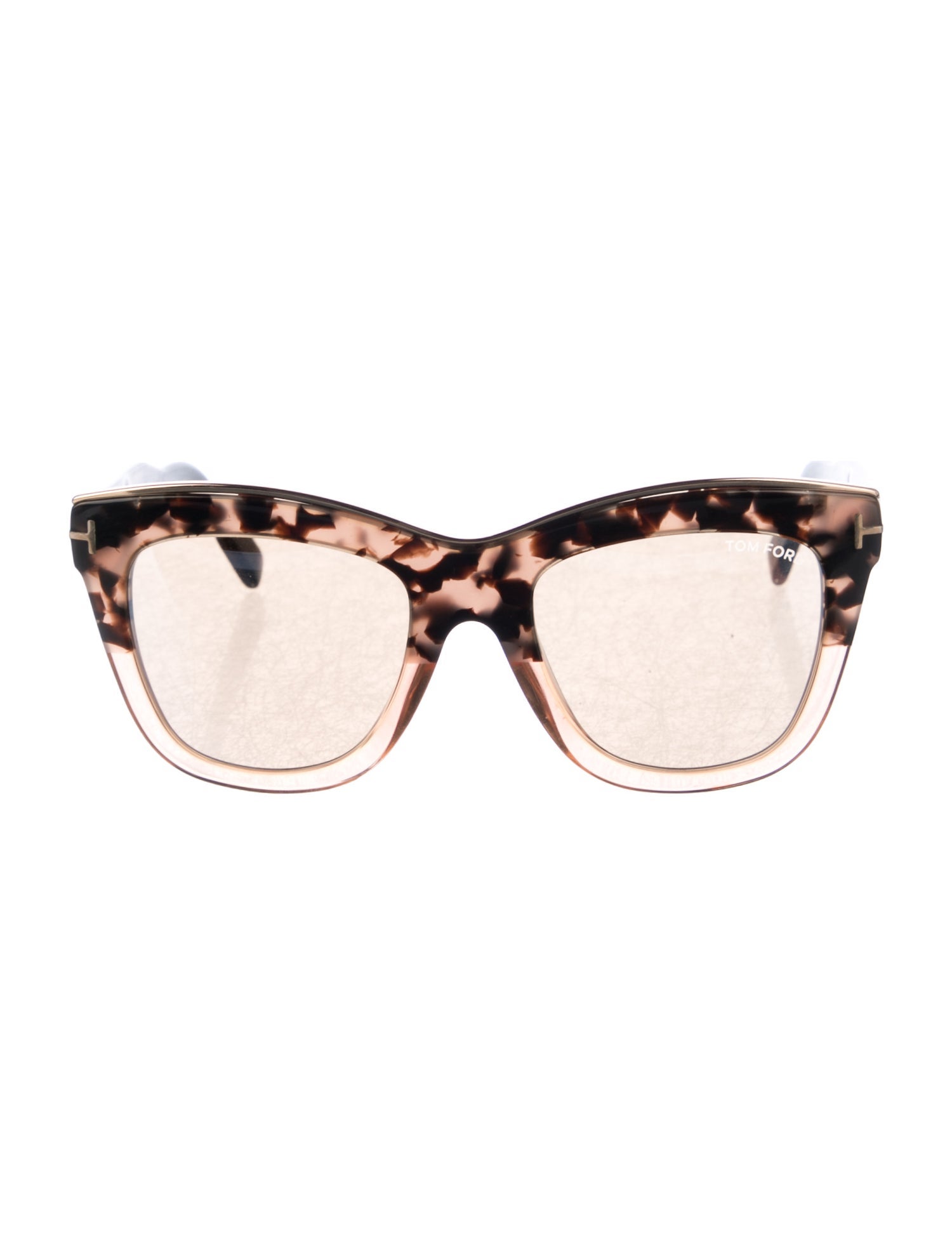 Tom Ford Wayfarer Tinted Sunglasses