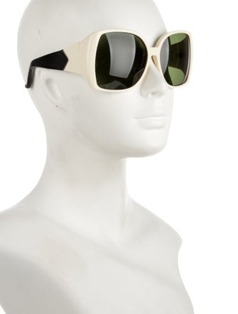 The Row x Linda Farrow Oversize Tinted Sunglasses