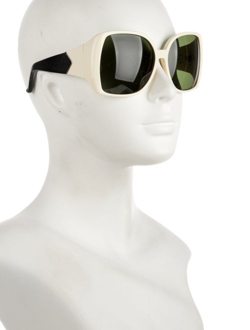 The Row x Linda Farrow Oversize Tinted Sunglasses
