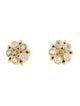 Temple St. Clair 18K Sapphire Flower Earrings