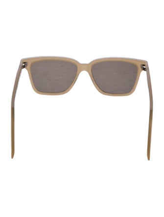 TOTEME Wayfarer Tinted Sunglasses