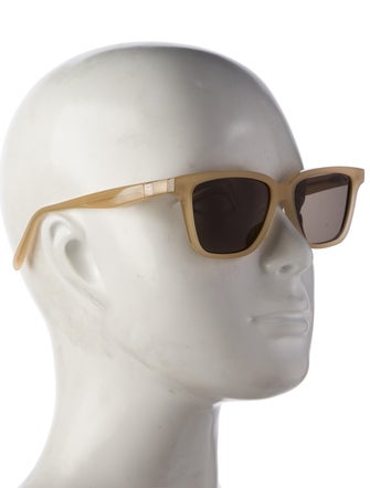 TOTEME Wayfarer Tinted Sunglasses