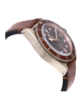 Tudor Black Bay Bronze Watch