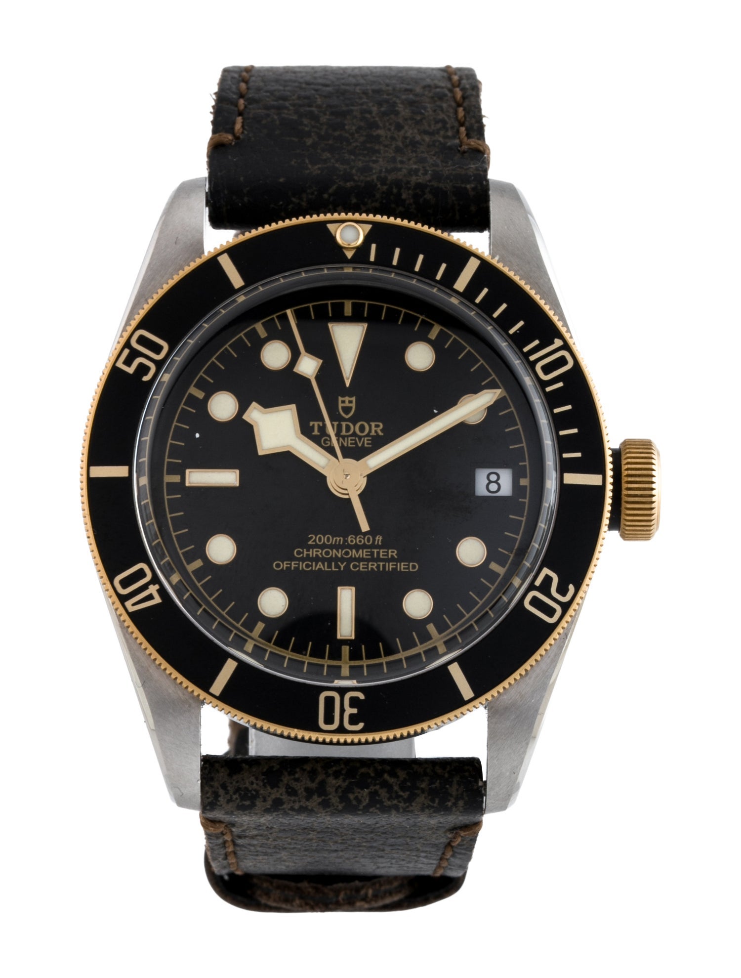 Tudor Black Bay S&G Watch
