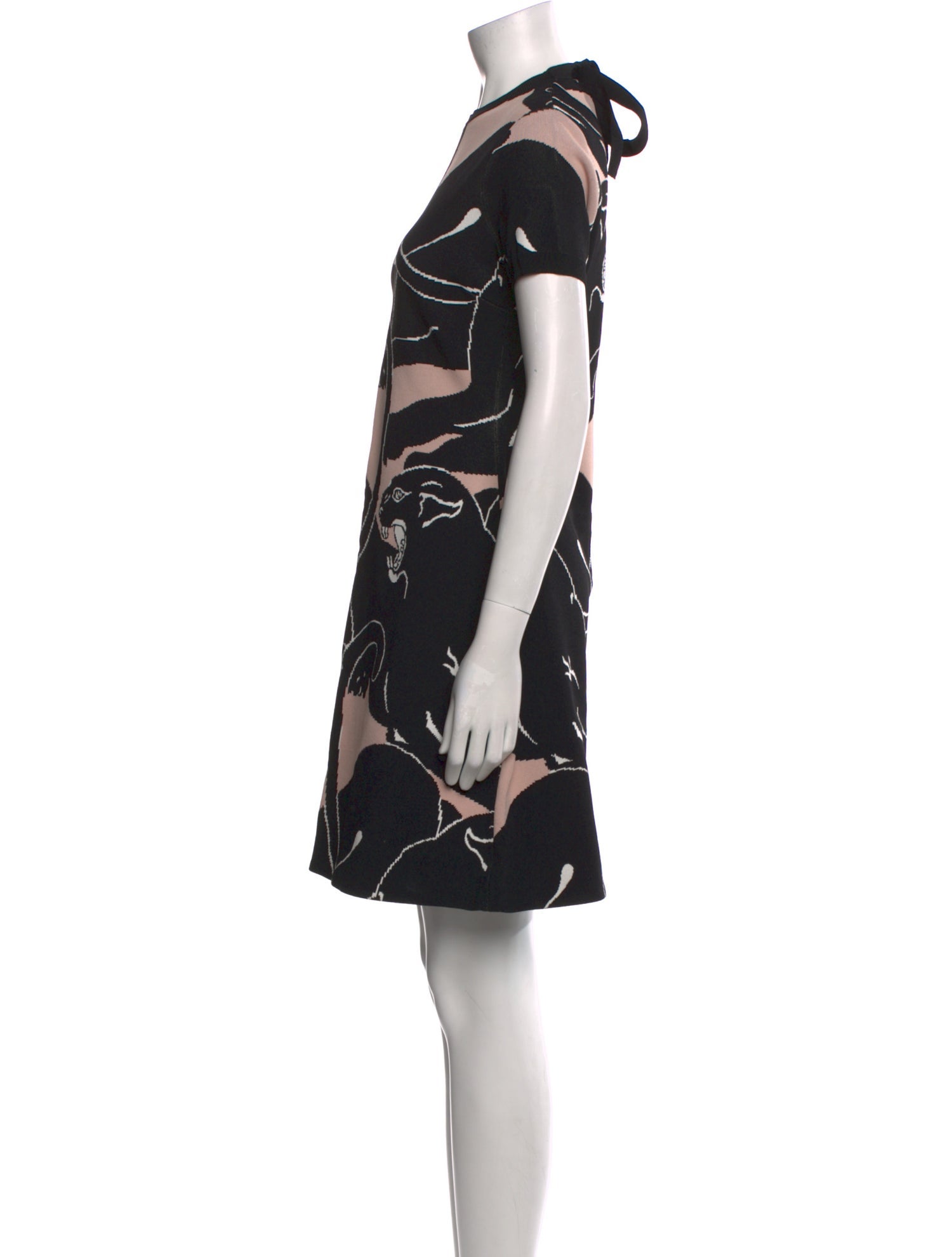 Valentino 2017 Mini Dress