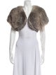 Valentino Late 2000's - Early 2010's Fur Fur Jacket