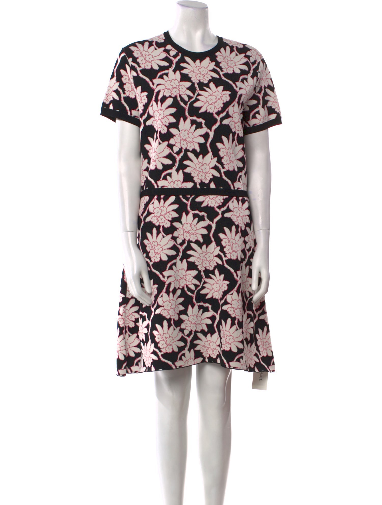 Valentino Floral Print Mini Dress