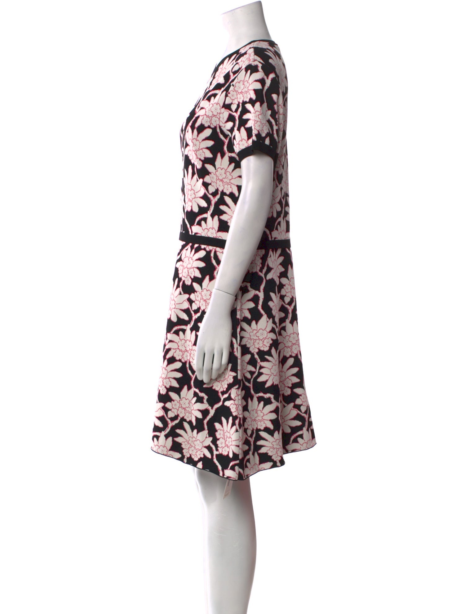 Valentino Floral Print Mini Dress