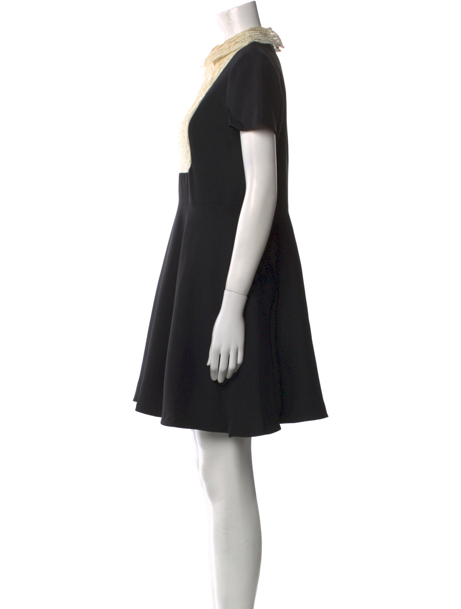 Valentino Mini Dress