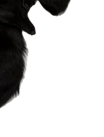 Valentino Night Fur Scarf