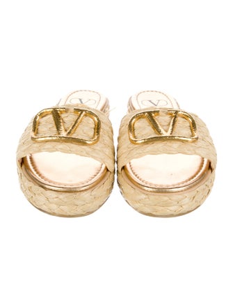 Valentino Raffia Espadrilles