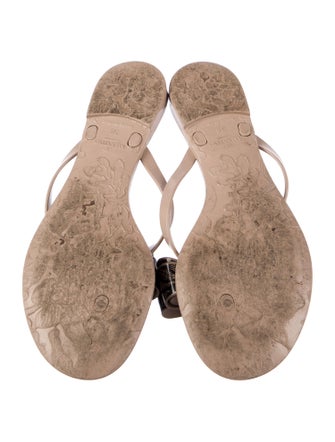 Valentino Rubber Printed Slides