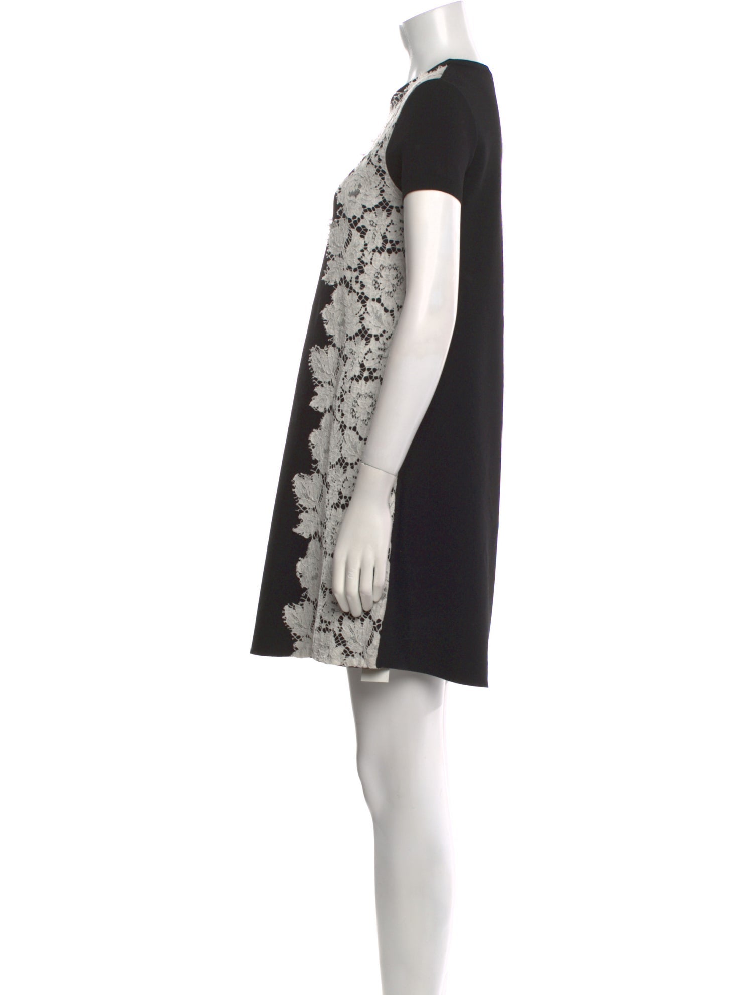 Valentino Floral Print Mini Dress