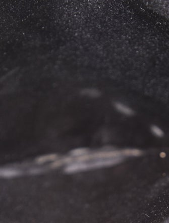 Valentino Canvas Evening Bag