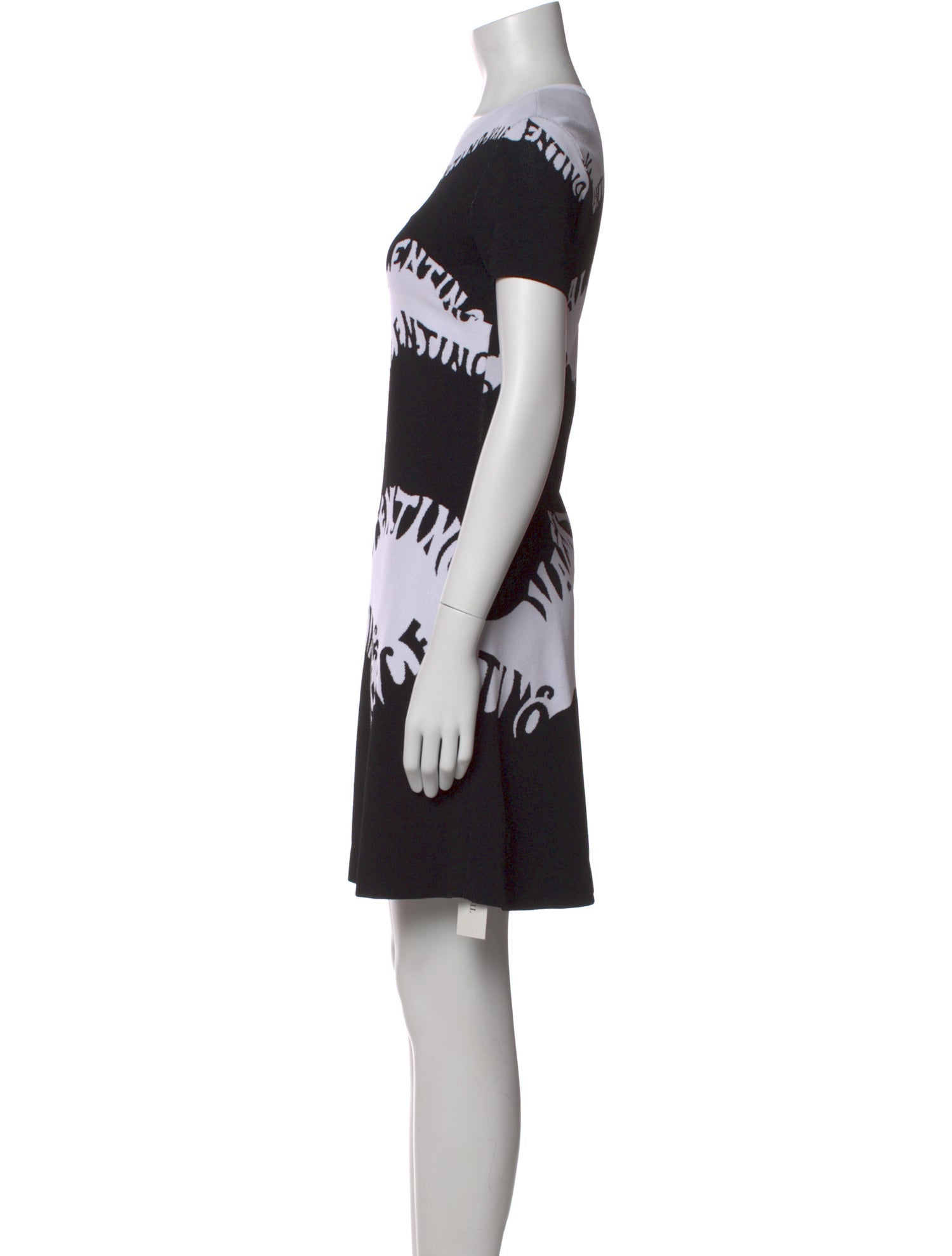Valentino Graphic Print Mini Dress