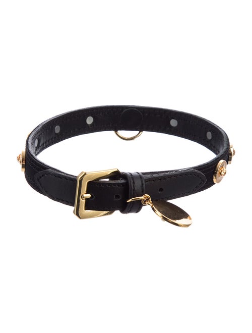 Versace Icon Pet Leash & Collar Set