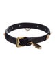Versace Icon Pet Leash & Collar Set