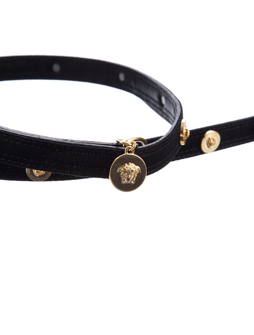 Versace Icon Pet Leash & Collar Set