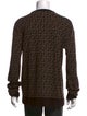 Fendace Wool Printed Pullover