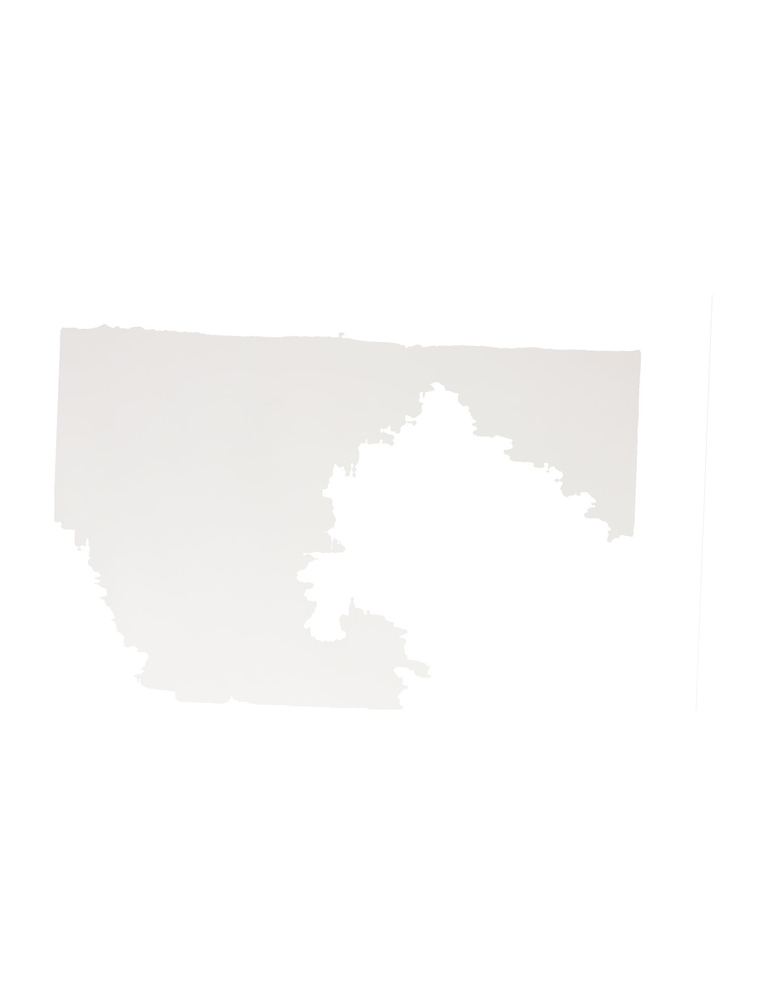 Versace Oversize Tinted Sunglasses