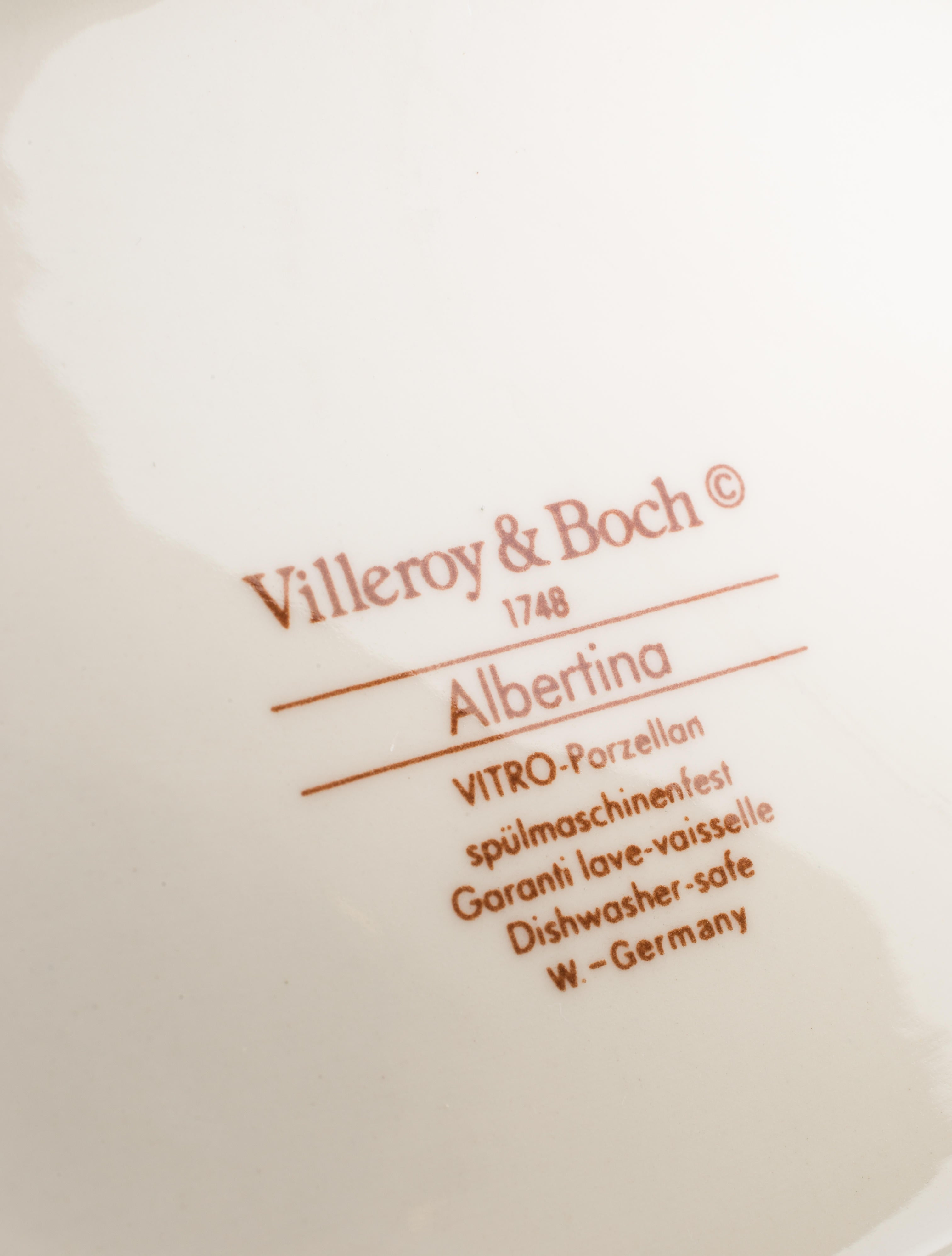 Villeroy & Boch 81-Piece Albertina Dinner Service