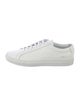 Common Projects Leather Sneakers