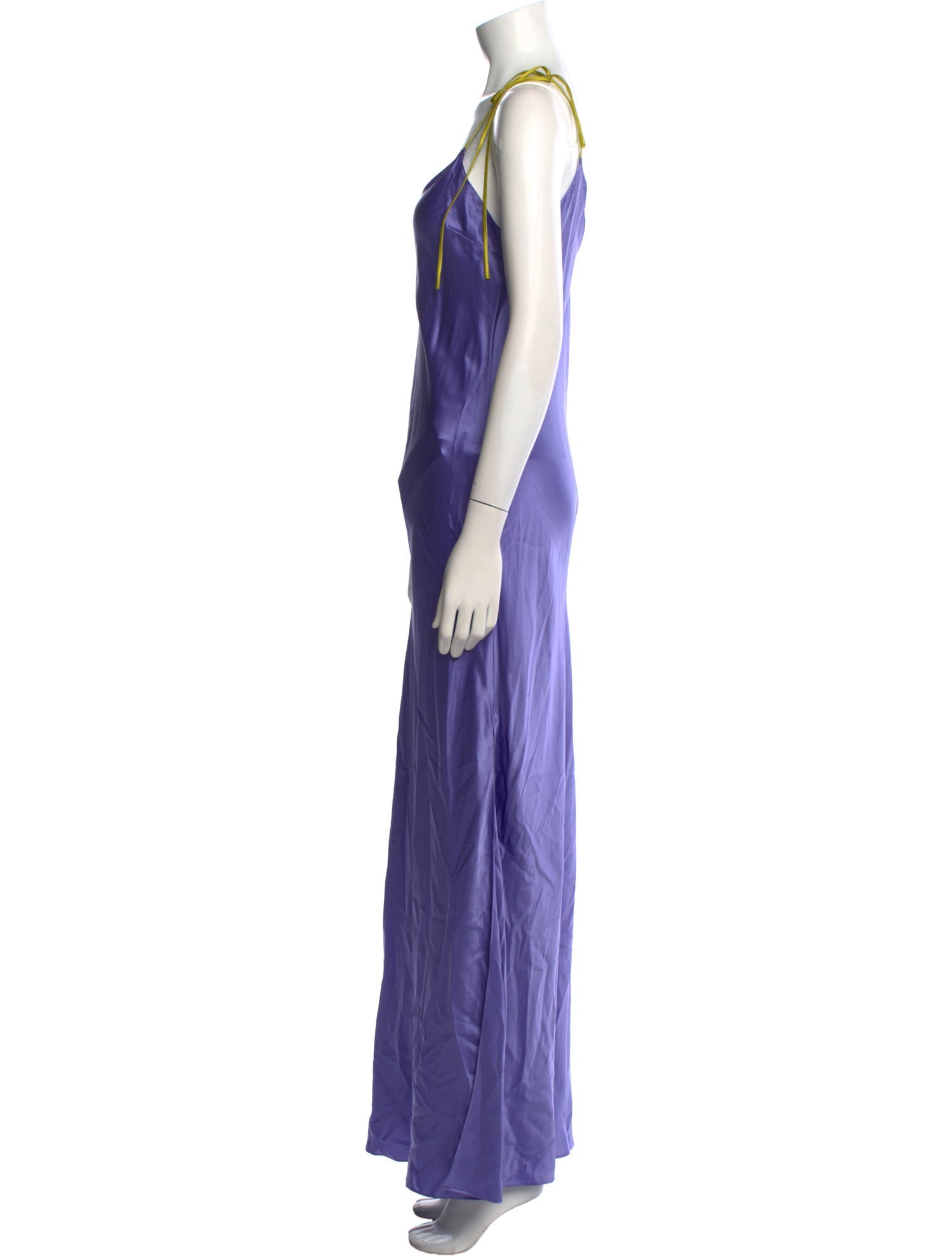 Dannijo Silk Long Dress