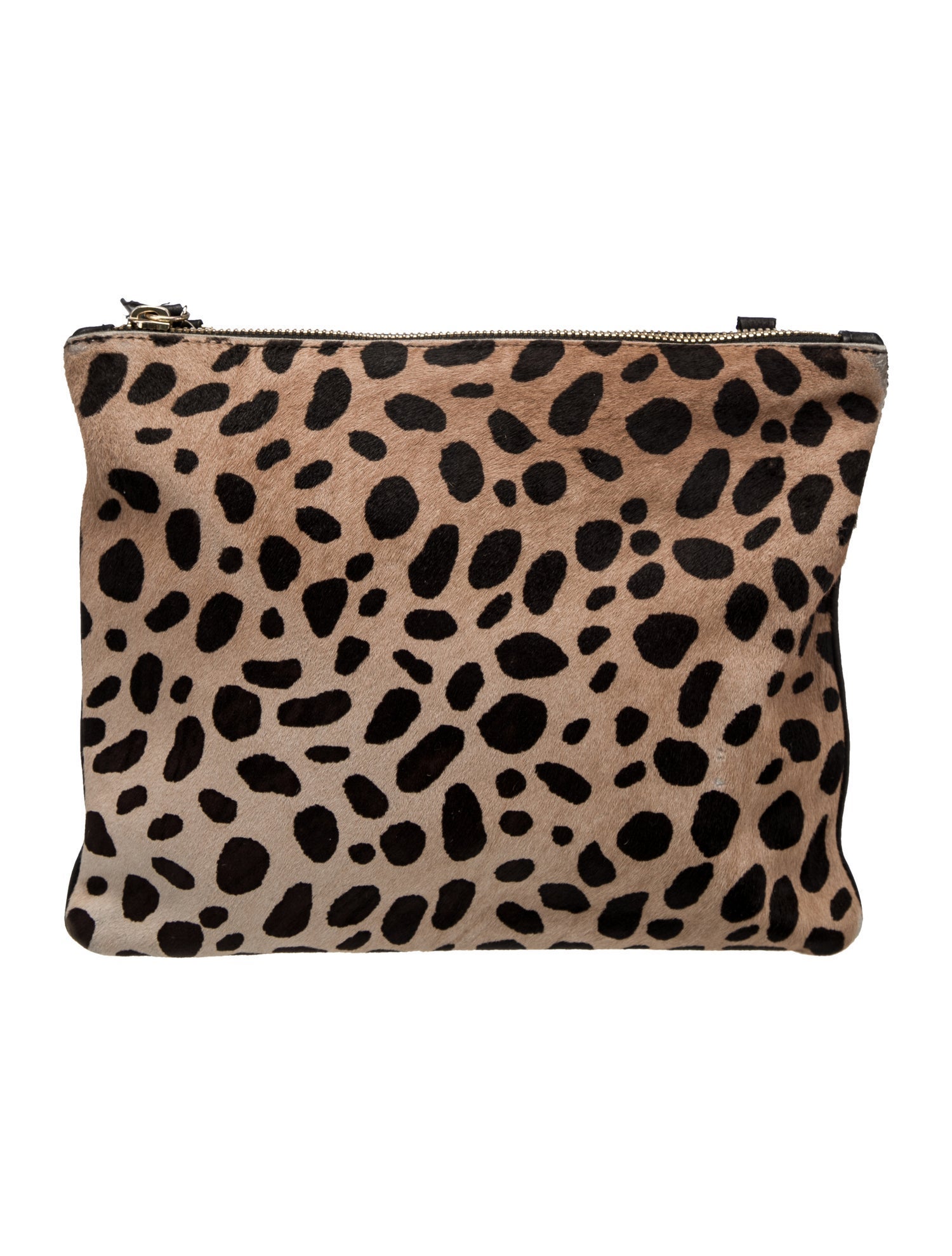 Clare V. Ponyhair Portfolio