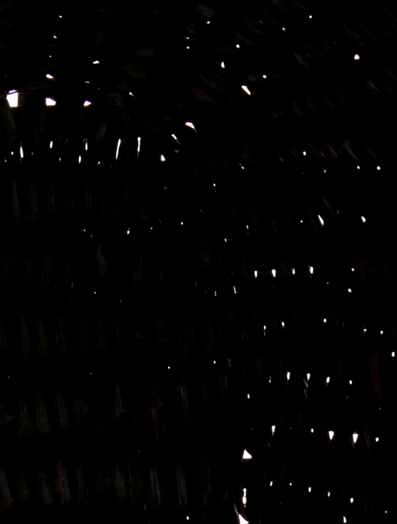 Clare V. Rattan Messenger Bag