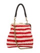 Clare V. Raffia Top Handle Bag