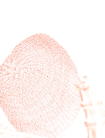 Clare V. Raffia Top Handle Bag