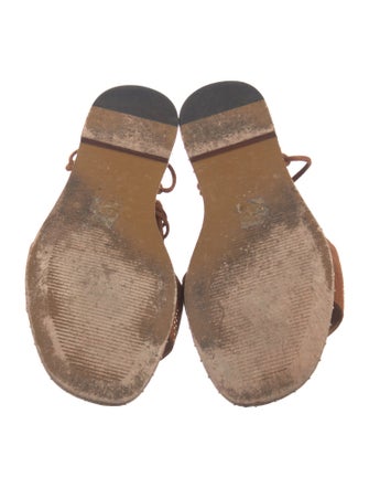 Maje Suede Gladiator Sandals