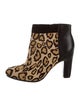 Sam Edelman Ponyhair Leopard Print Booties