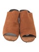 3.1 Phillip Lim Suede Mules