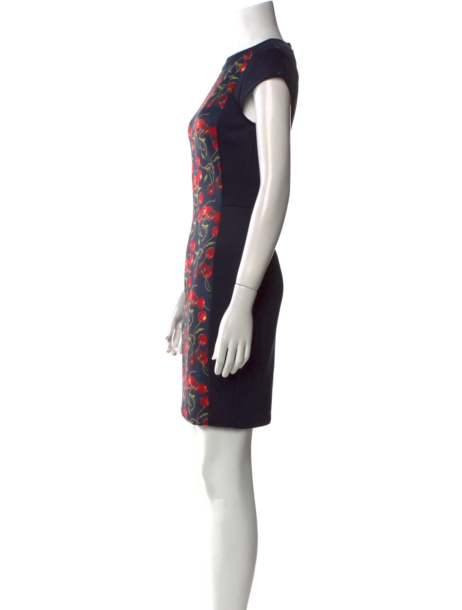 Ted Baker Printed Mini Dress