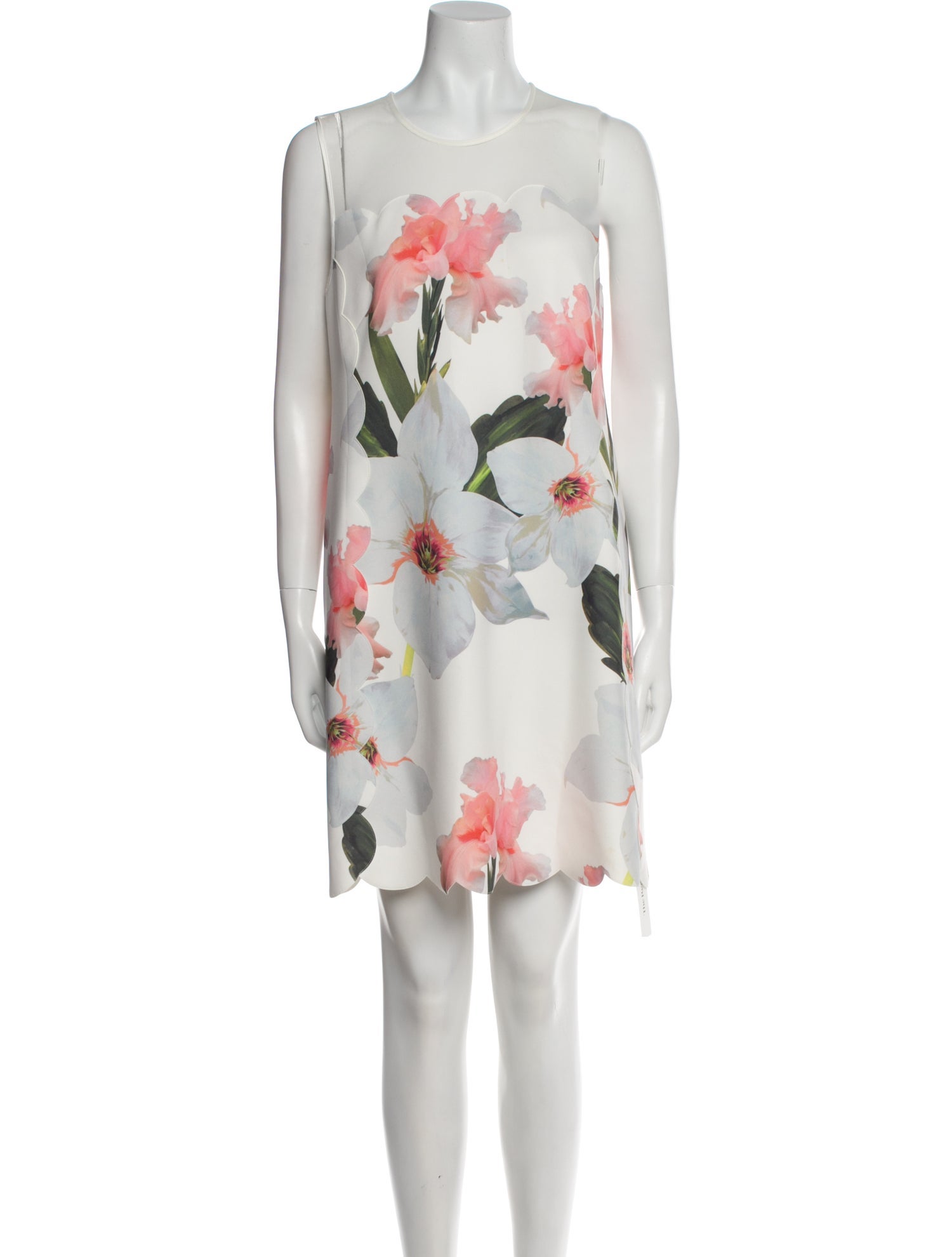 Ted Baker Floral Print Mini Dress