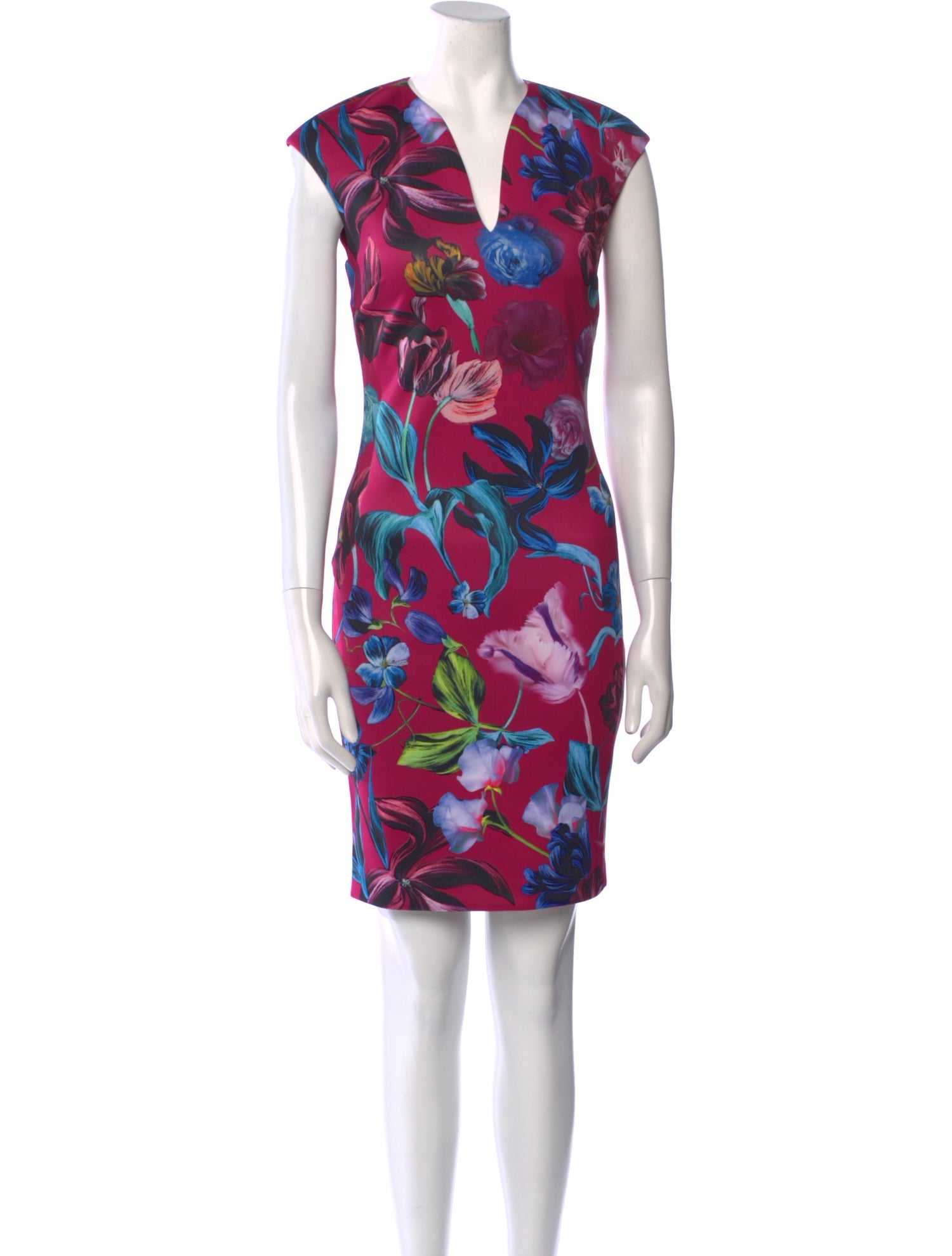Ted Baker Floral Print Knee-Length Dress