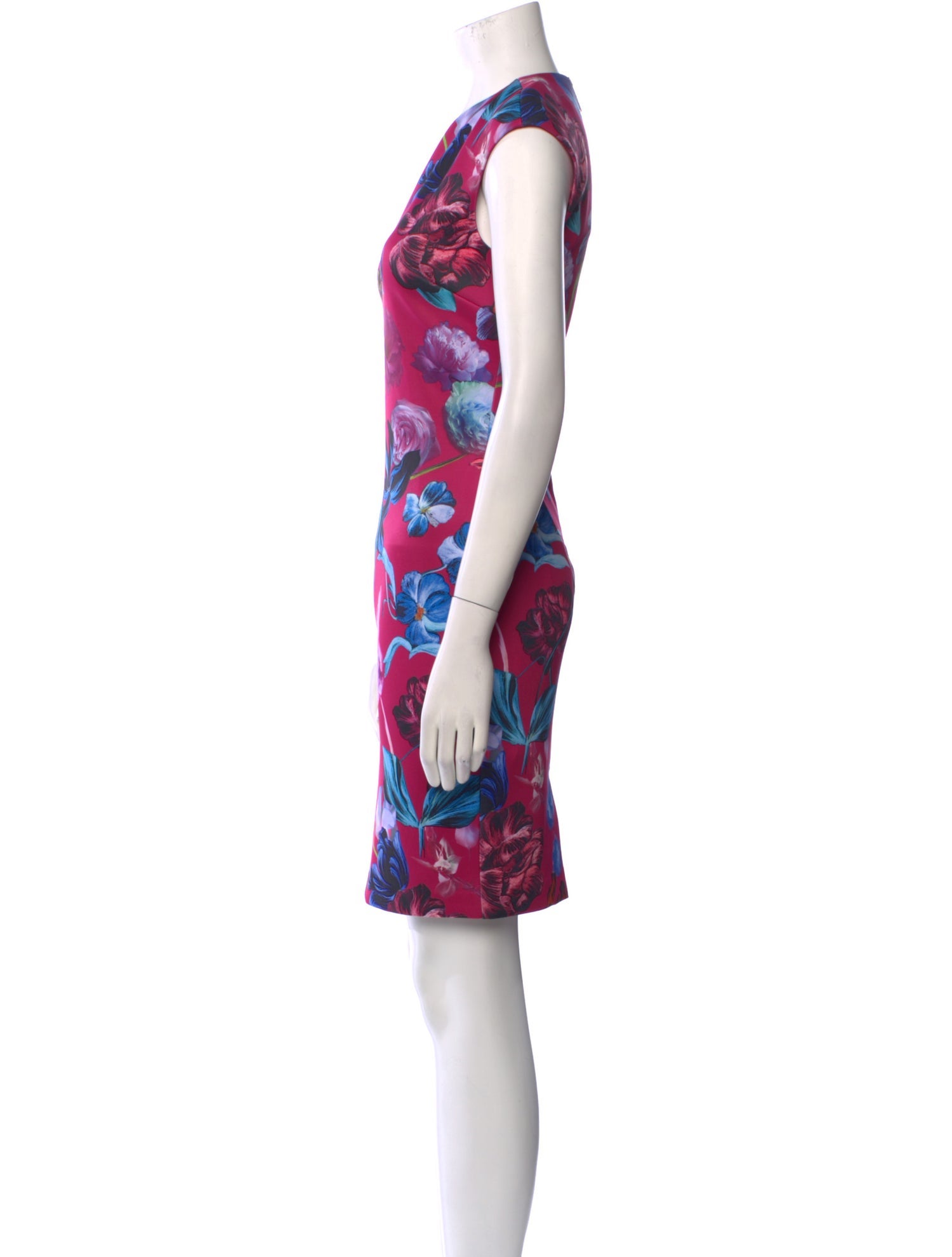 Ted Baker Floral Print Knee-Length Dress
