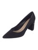 Ted Baker Suede Pumps