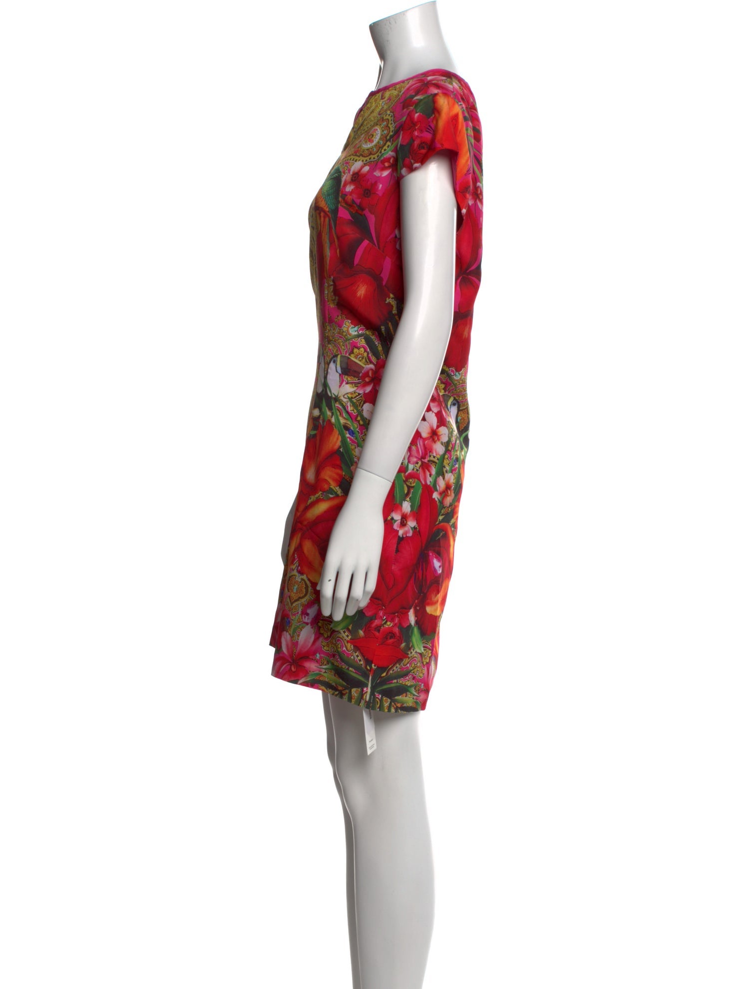 Ted Baker Printed Mini Dress