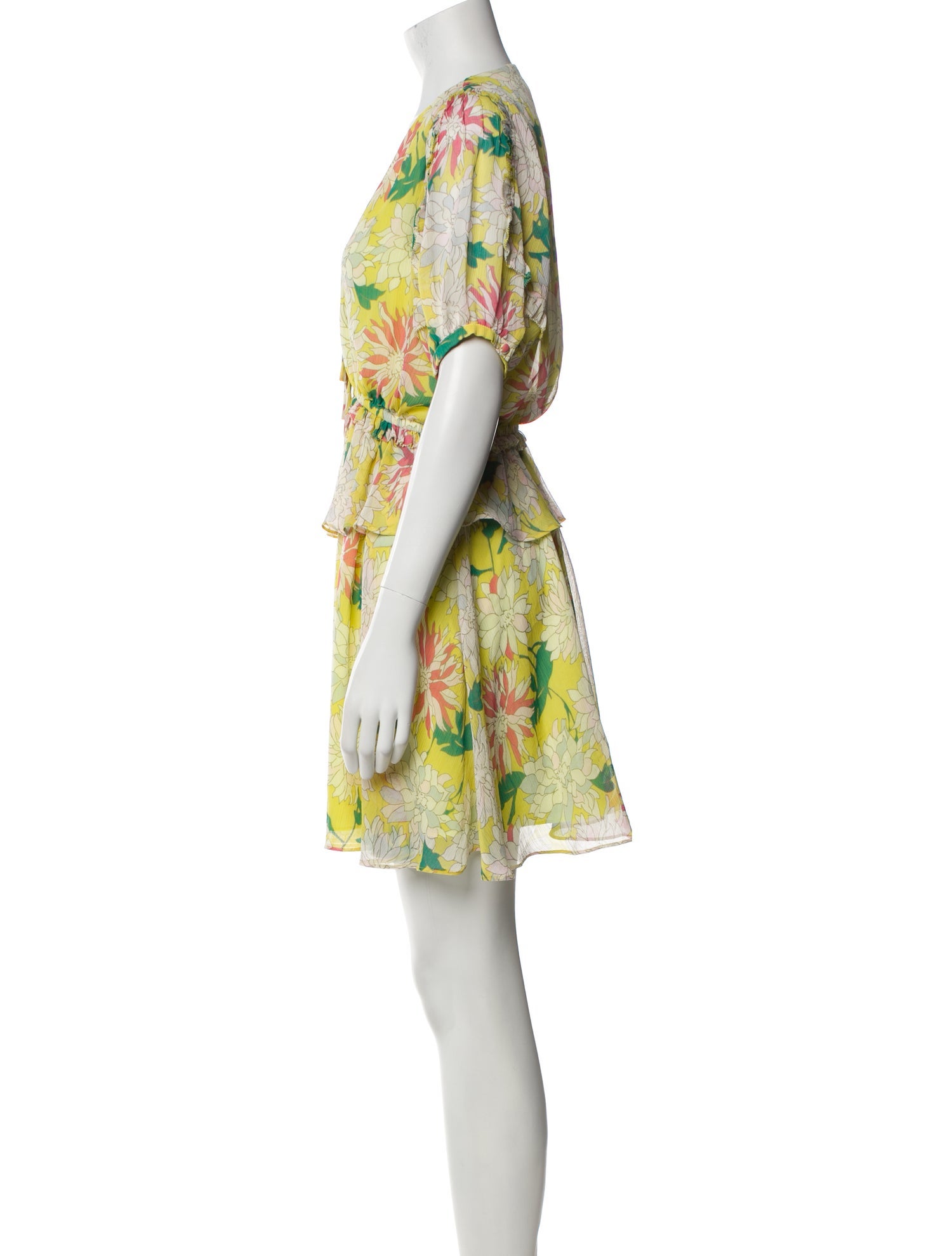 Ted Baker Floral Print Mini Dress
